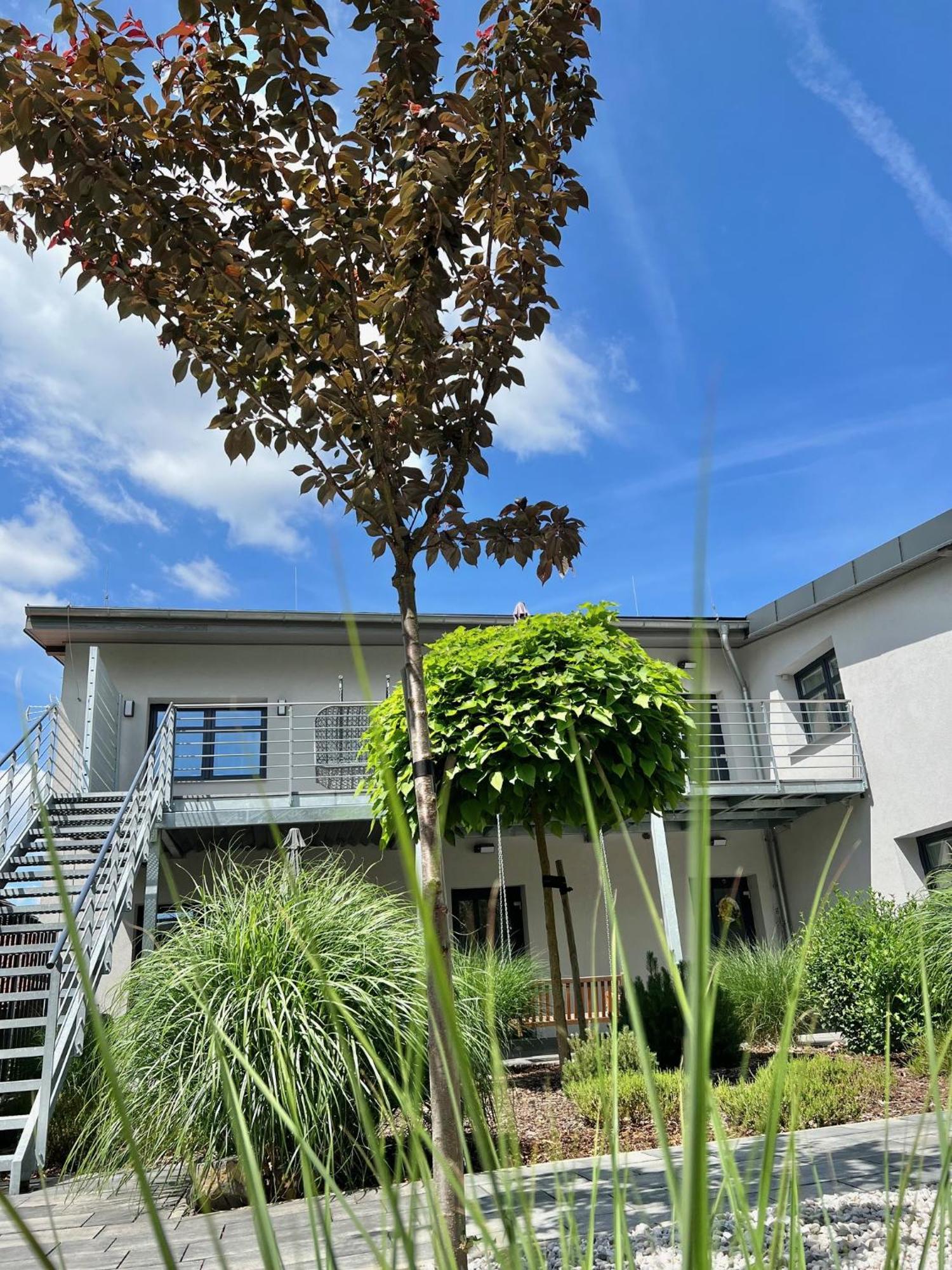 Apartmány Benešov Benesov nad Ploucnici Exterior foto